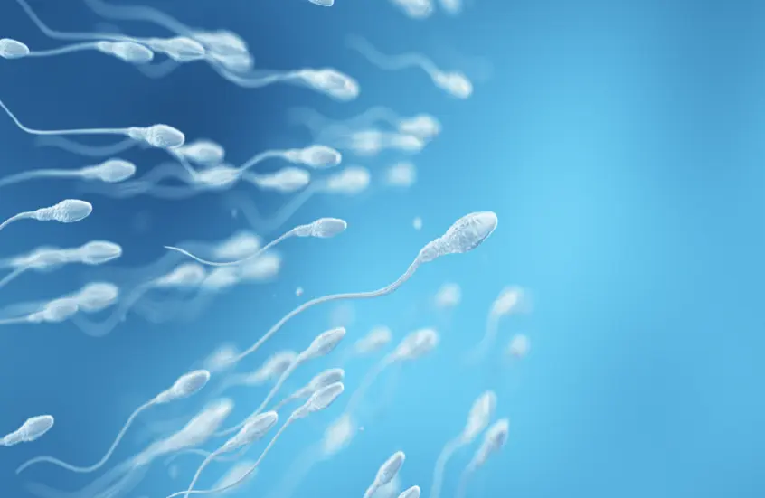 طفرة علمية صينية تفتح آفاقًا جديدة لعلاج العقم لدى الرجال